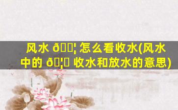 风水 🐦 怎么看收水(风水中的 🦟 收水和放水的意思)